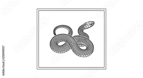 Detailed black and white illustration of a coiled snake in a square frame. Reptile icon.