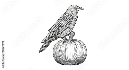 Detailed Hand-Drawn Raven Perched on a Pumpkin, Ink Sketch Style