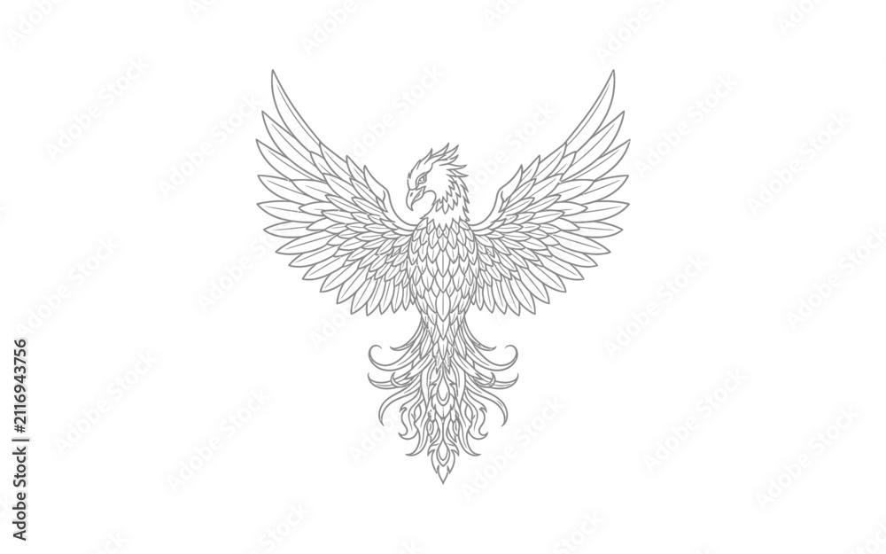 Fototapeta premium Phoenix Bird Outline Vector Illustration