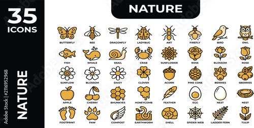 Принти на полотні Nature elements line icon set