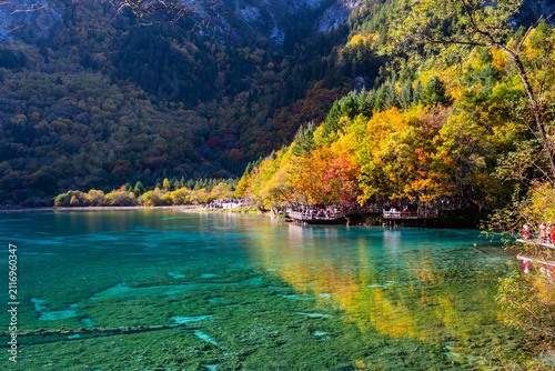 Wall Mural Autumn landscape in beautiful colorful nature scenic view at five flower lake in