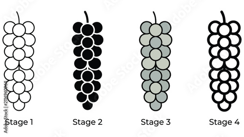 Four stages of grape development shown as icons