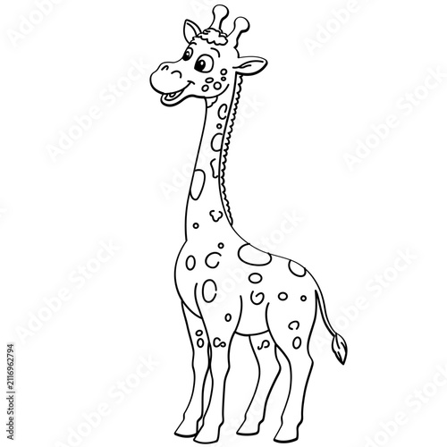 Canvas Print Giraffe vector illustration for safari wildlife and animal collections