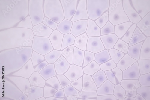 Canvastavla Microscopic view of cells with nuclei
