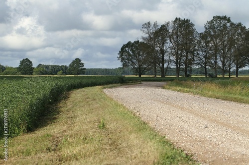 Rural Dirt Road Under Cloudy Summer Sky.