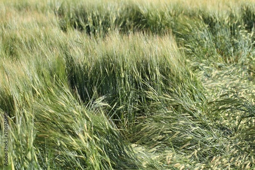 Field Damage After Rain and Storm.