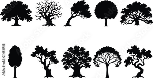 Cuadro en lienzo Tree Silhouette Collection with Diverse Forest and Ornamental Tree Vector Illust