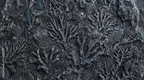 Close-up of textured volcanic ash surface. Natural geological formation with rough, dark surface details.