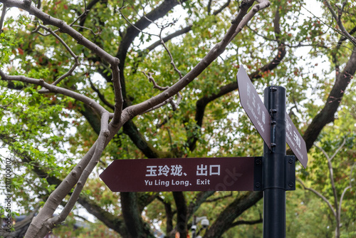 Canvastavla Yu Ling Long exit direction sign among spring trees, Jade Buddha Temple, Shangha