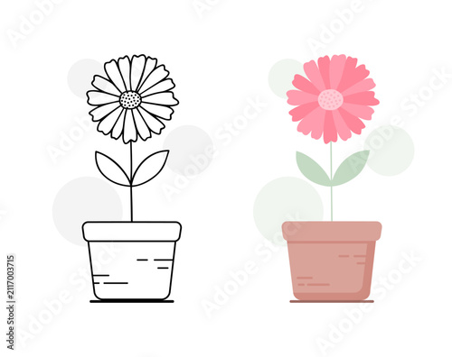 Gerbera Daisy Flower in Pot Line Art and Flat Style Set