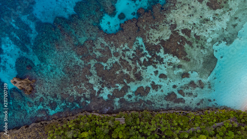 coral reef in the blue sea of Roatan, Honduras