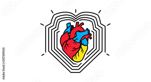 heart anatomy logo, human organ, medical symbol