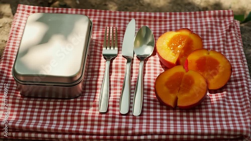 Outdoor picnic setting with sliced ripe peaches, metal cutlery, and a lunchbox on a red and white checkered cloth