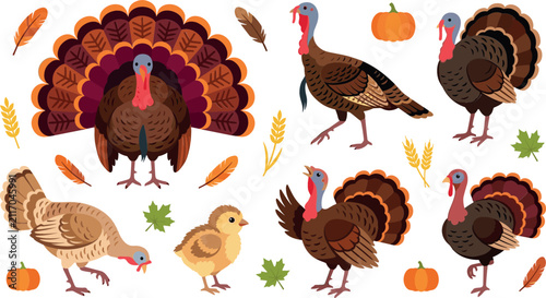 Obraz na plátně Thanksgiving Turkey Clipart Collection Vector Featuring Flat Cartoon Tom Turkey