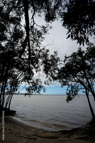 Natural frame background of tree silhouettes overlooking a calm river with copy space.
