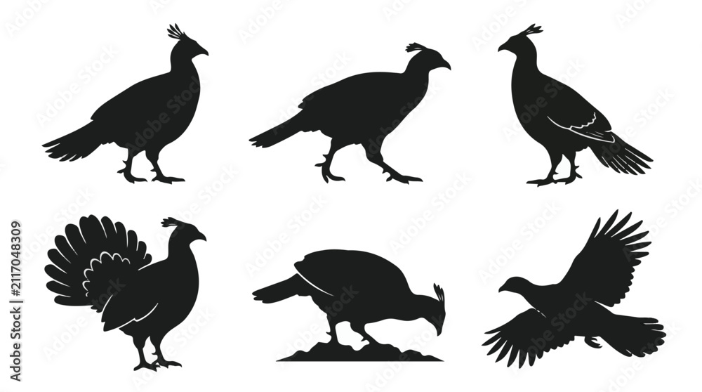 Fototapeta premium A set of six monal bird in various poses silhouette vector icon illustrations on a white background 