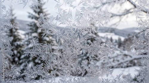 snow covered branches of trees