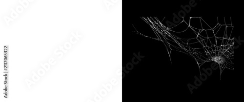 Spooky spider web on black background, intricate cobweb texture for Halloween design, fragile white silk threads in dark corner