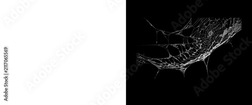 Bild auf Leinwand Intricate spider web on black background, delicate white cobweb texture, spooky