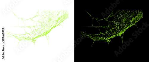 Bild auf Leinwand Microscopic view of green fluorescent cytoskeleton filaments, biological cell st