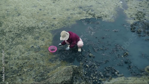 Top view of a woman collecting shellfish by hand in a rocky tidal pool during low tide. Traditional coastal harvesting with basket and gloves on a natural seashore. Vietnam