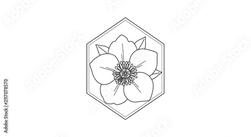 line drawing flower in hexagon