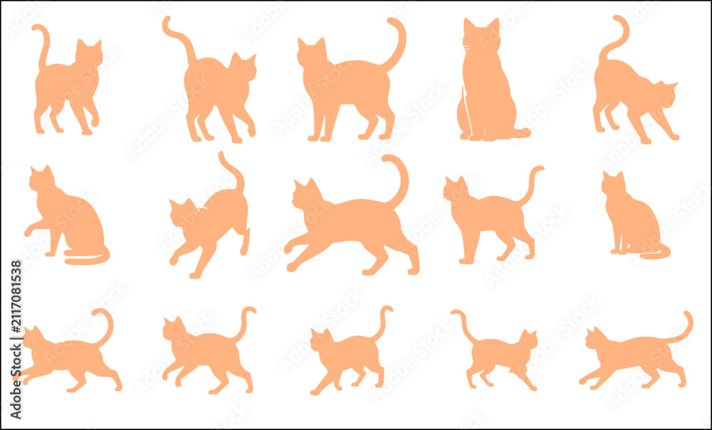 Fototapeta premium orange cats silhouette animal pet