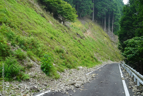 静岡県_葵区_林道竹ノ沢線