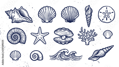 Collection of hand drawn sea shells and marine life icons with nautical starfish underwater creature vacation illustration seashell wildlife environment tropical coastline