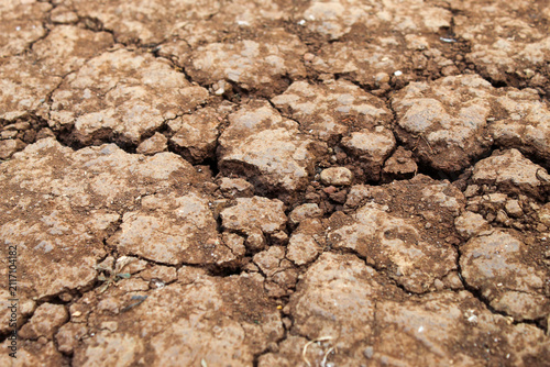 Dry Soil Texture Cracks Due to Extreme Drought. Environmental Background