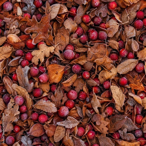 Frosted cranberries and autumn leaves seamless texture, rustic seasonal background