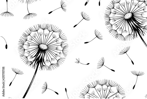 Foto クリーンな白い背景のパターンに描かれた、飛んでいる種を持つタンポポの花の白黒手書きイラスト