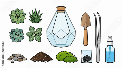 Succulent plants and gardening tools.