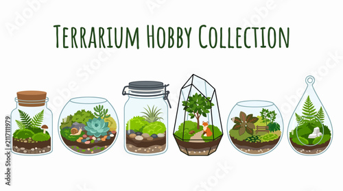 Terrariums with various green plants inside.