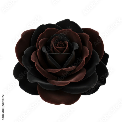 Beautiful Dark Black and Deep Maroon Velvet Rose Flower