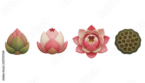 Set of Stylized Lotus Flower Growth Stages and Seedpod