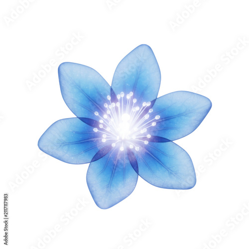 Beautiful Translucent Blue Flower with Glowing Stamen Center