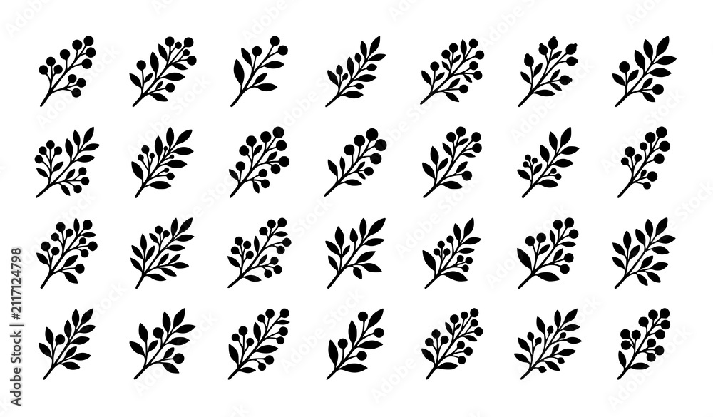Fototapeta premium Botanical black Berry Branch Collection Green Leaves Nature Vector Illustration