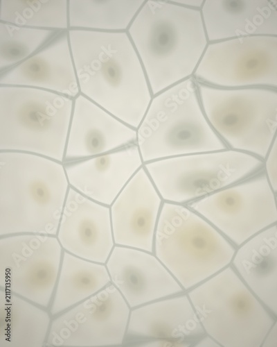 Bild auf Leinwand Abstract cellular structure with nuclei