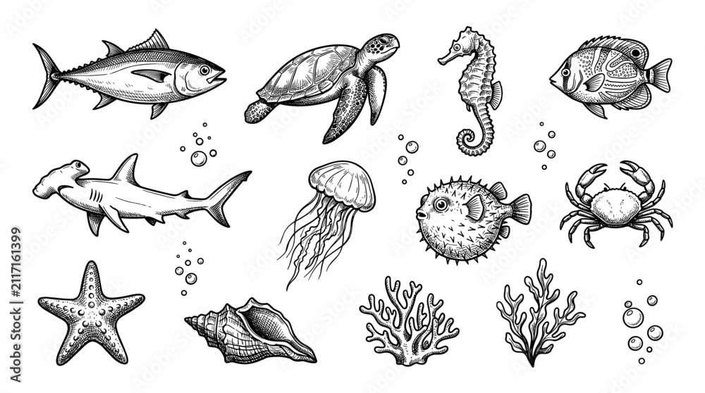 Obraz premium Fish doodle icons, hand drawn marine animals, sea life collection, tuna, turtle, seahorse, ink sketch, vector