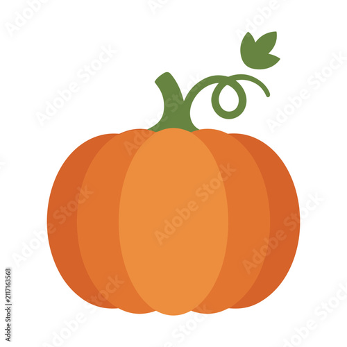 Pumpkin with Vine Illustration Containing pumpkin, vine, harvest, autumn, vegetable, and flat illustration. Flat illustration