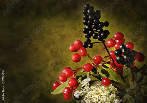 Strauß mit verschiedenen Beeren
