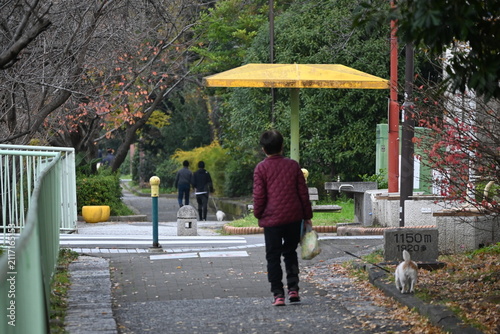 Fotografie 公園の歩道を犬と一緒に散歩する人