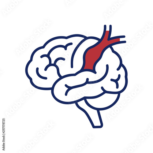 Brain Blood Vessel Icon Containing cerebral artery, brain circulation, neurology, and outline illustration. Outline illustration