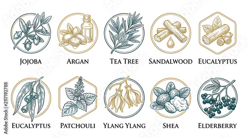 Foto Natural Essential Oils and Botanicals Collection