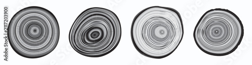 Tree trunk cut texture, wood slice annual rings vector pattern