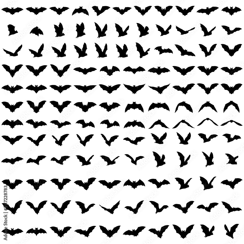 Fototapeta premium Bat Silhouette Collection Vector Set. Black Flying Night Creatures. Halloween Graphic Resources. Zoo Wild Animals. isolated on White Background Back to school