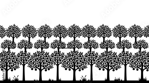 silhouette of rows of apple trees in an orchard landscape