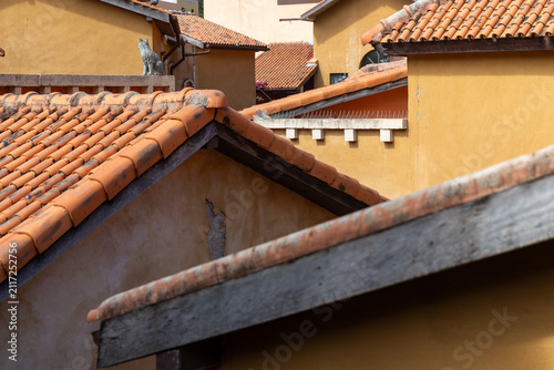 Terracotta tile roofs of Tuscan style buildings with a stone cat statue on a ledge