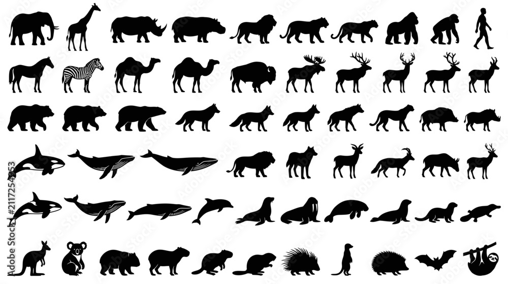 Fototapeta premium Black silhouettes of various wild animals and marine life on a white background